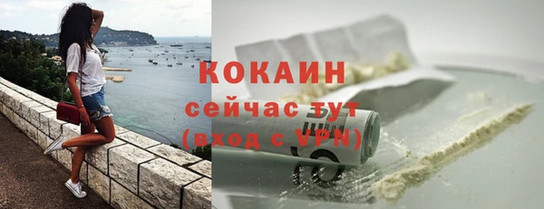 шишки Иннополис