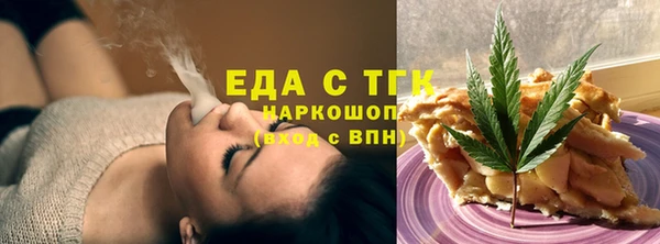мдпв Инсар