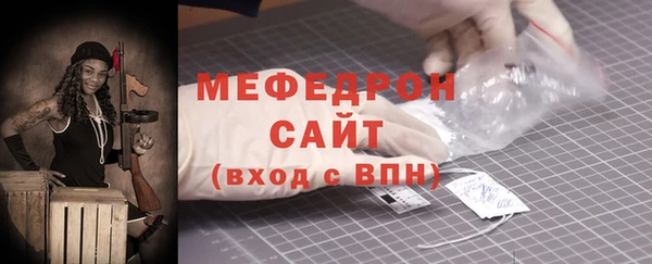 мдпв Инсар