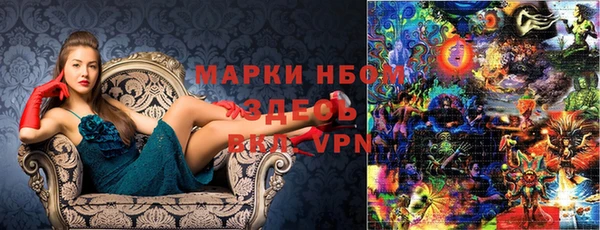 дурь Инта