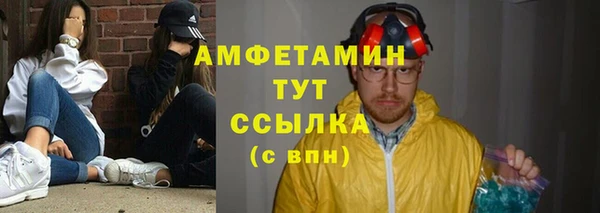 мдпв Инсар