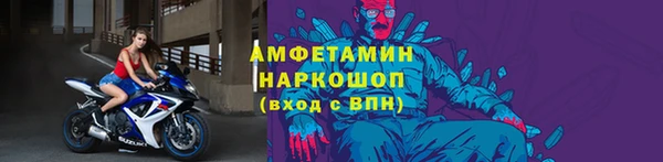 шишки Иннополис