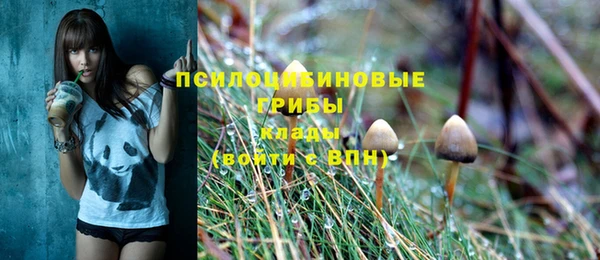 шишки Иннополис
