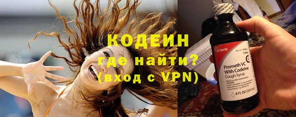 дурь Инта