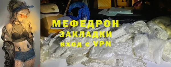 мдпв Инсар