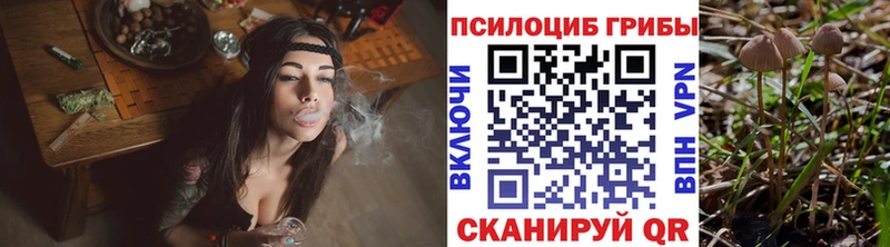 Купить где  Пучеж  Галлюциногенные грибы ЛСД 